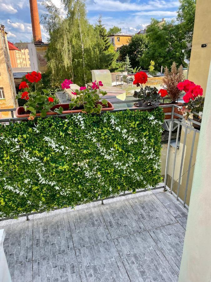 Pension Májovka Cheb Esterno foto